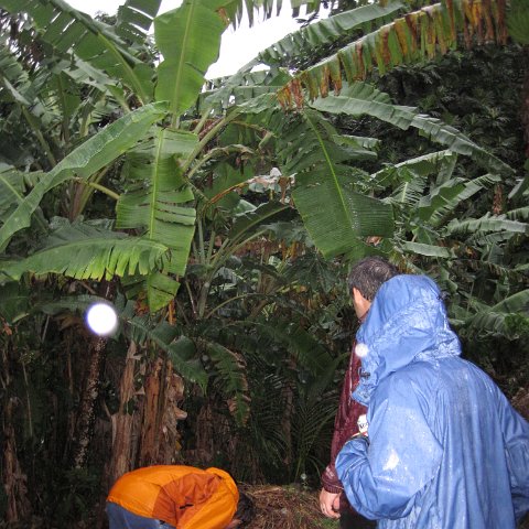 IMG_1086 IMG_1086