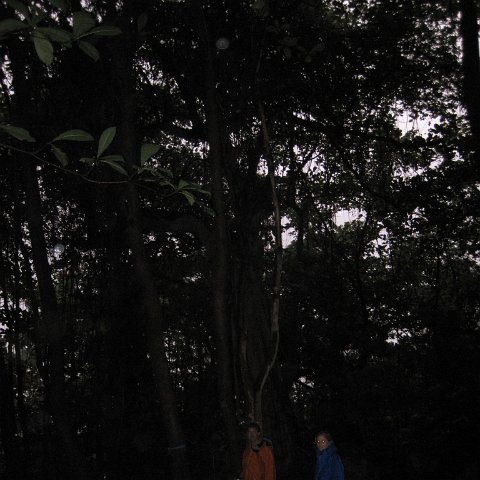IMG_1087 IMG_1087