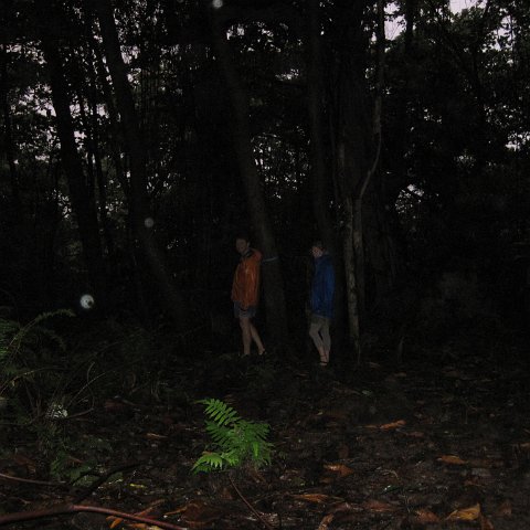IMG_1088 IMG_1088