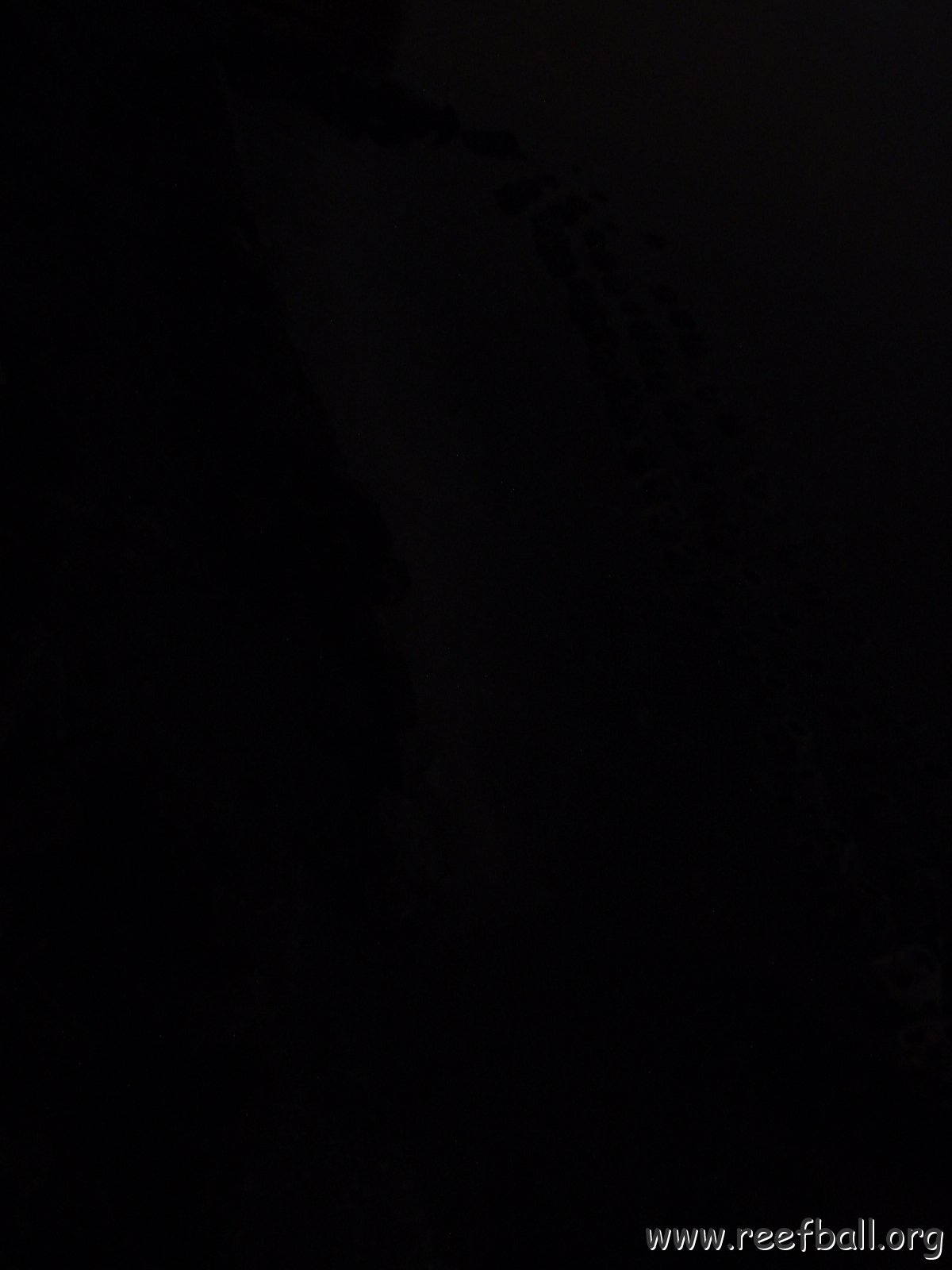 DSC01901