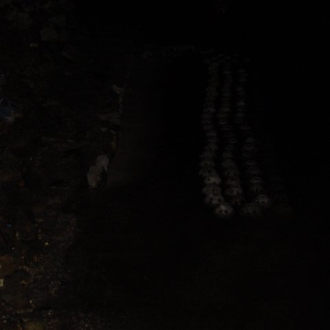DSC01899 DSC01899