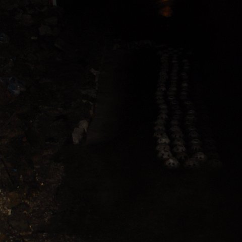 DSC01900 DSC01900