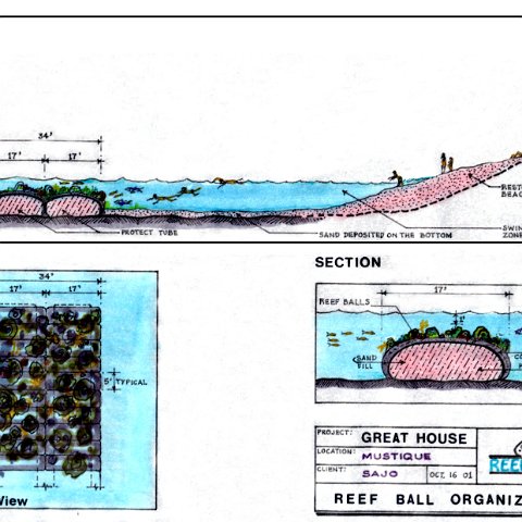 reef_ball_mustiqueprotecttube