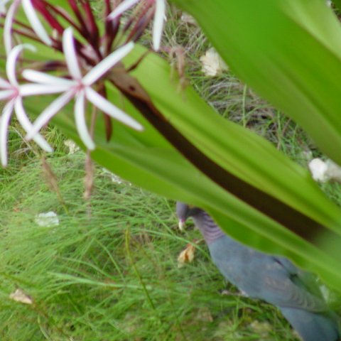 DSC01791 DSC01791