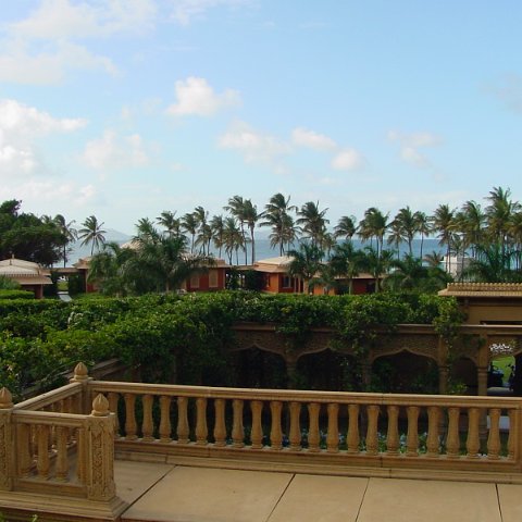 DSC01823 DSC01823