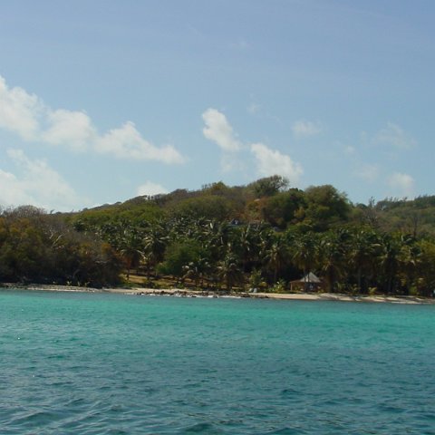 DSC01843 DSC01843