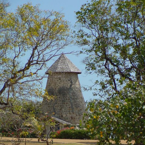 DSC01849 DSC01849