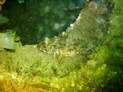 underwatersiteunknown