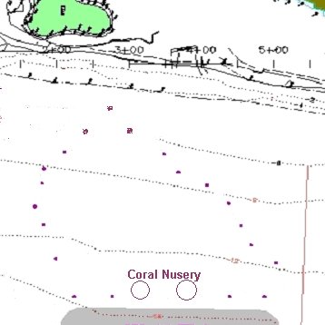Nevis and St. Kitts Reef Ball Projects and Photos Nevis and St. Kitts Reef Ball Projects and Photos