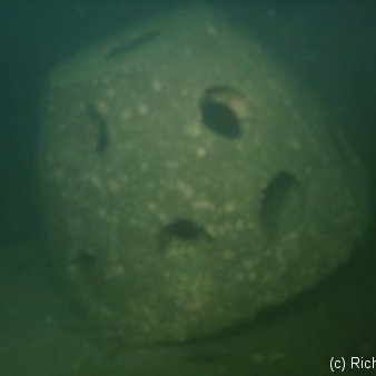 First Reef Ball Placed On A Shipwreck