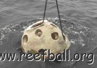 reefball_deployedaugust23700reefballs