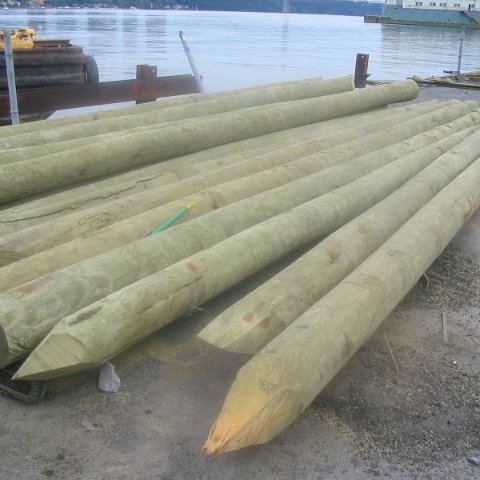 Pilings for support post Pilings for support post
