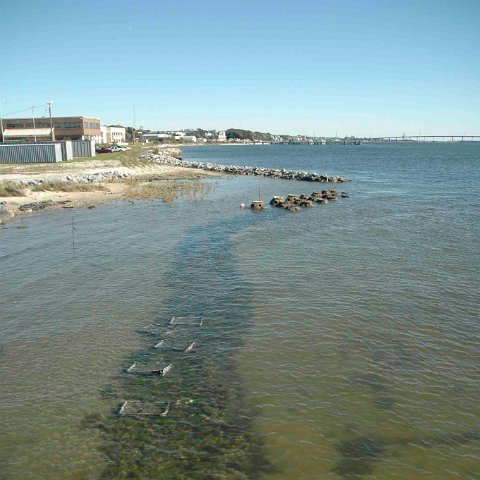 Carteret Community College Submerged Reef Ball Breakwater Sill