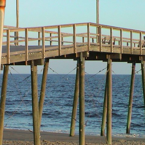 dsc00113 dsc00113