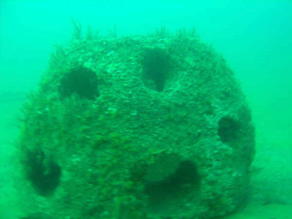 stone%20reefball.jpg