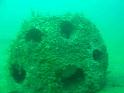 stone%20reefball 