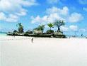 boracayreef