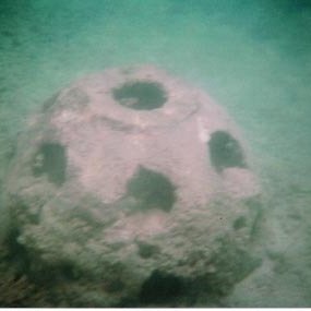 Puerto Rico Reef Ball Projects and Photos Puerto Rico Reef Ball Projects and Photos