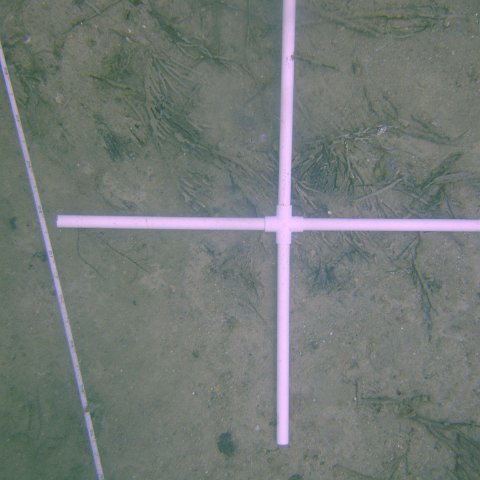 DSC05520 DSC05520
