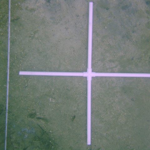 DSC05521 DSC05521