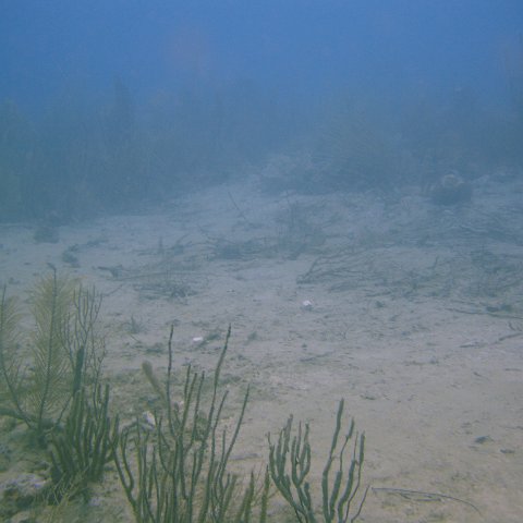 DSC05527 DSC05527
