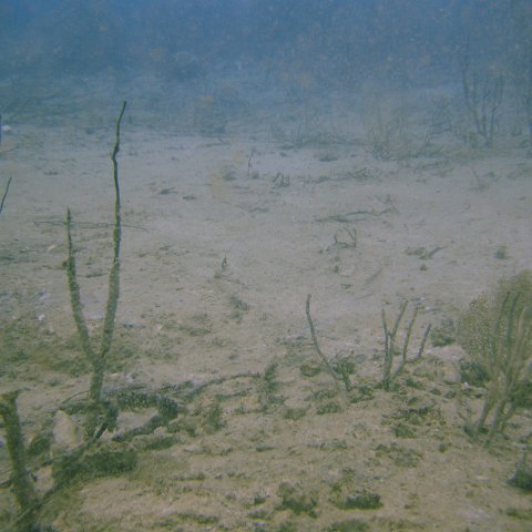 DSC05528 DSC05528
