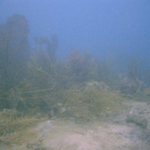 DSC05529 DSC05529