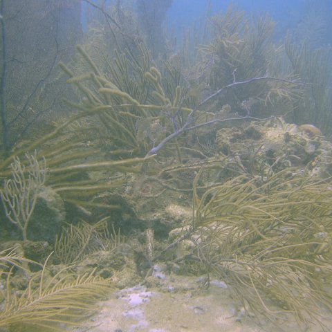 DSC05530 DSC05530