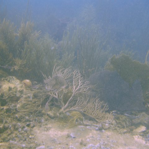 DSC05531 DSC05531