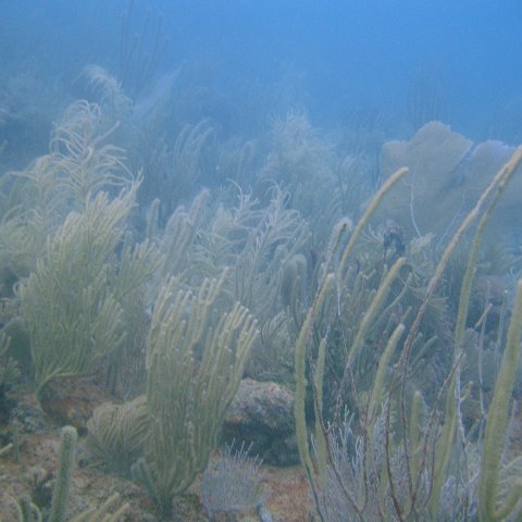DSC05533 DSC05533