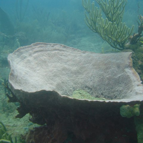 DSC05534 DSC05534
