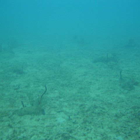 DSC05535 DSC05535