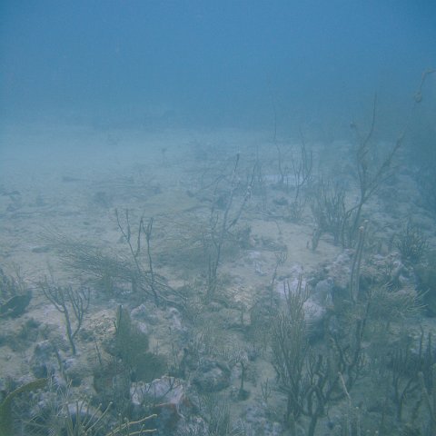 DSC05539 DSC05539
