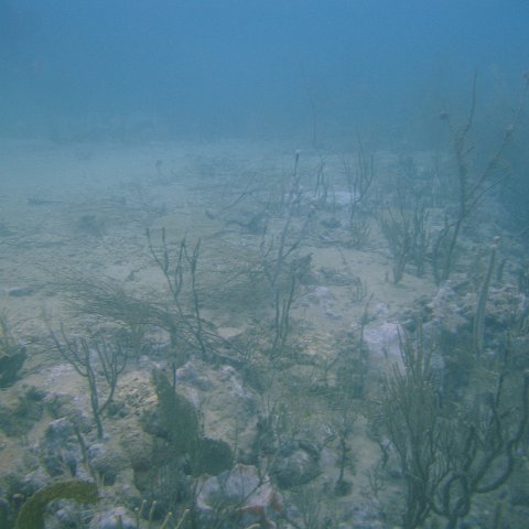 DSC05540 DSC05540