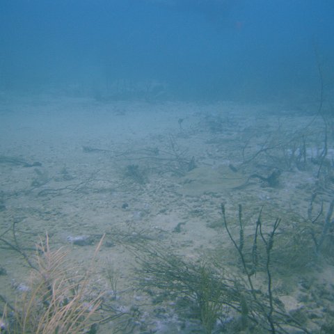 DSC05541 DSC05541