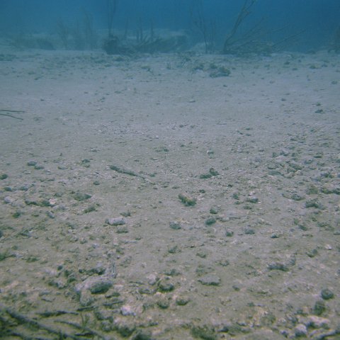 DSC05542 DSC05542