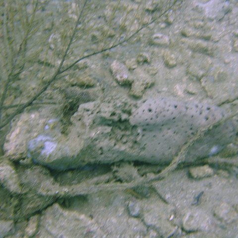 DSC05543 DSC05543