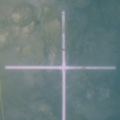 DSC05547 DSC05547