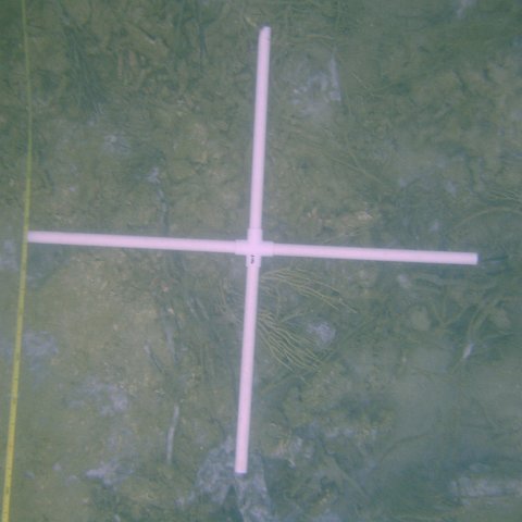 DSC05550 DSC05550