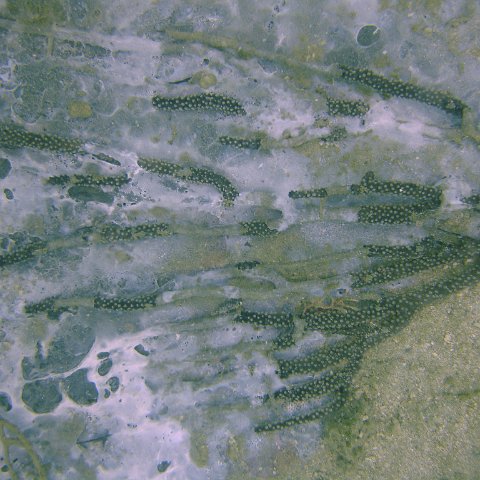 DSC05557 DSC05557