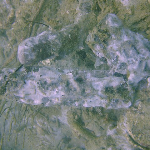 DSC05559 DSC05559