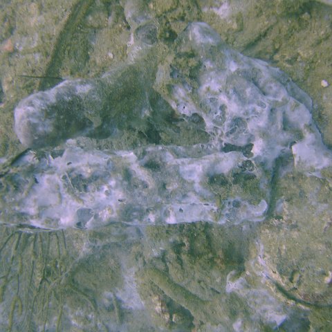 DSC05560 DSC05560