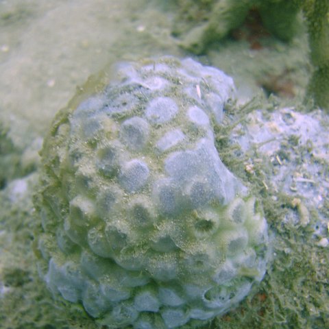 DSC05565 DSC05565
