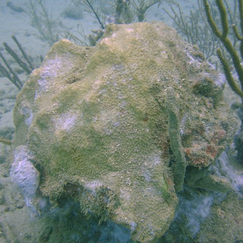 DSC05566 DSC05566