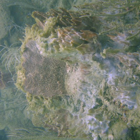 DSC05568 DSC05568