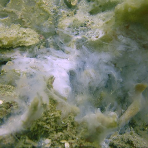 DSC05573 DSC05573