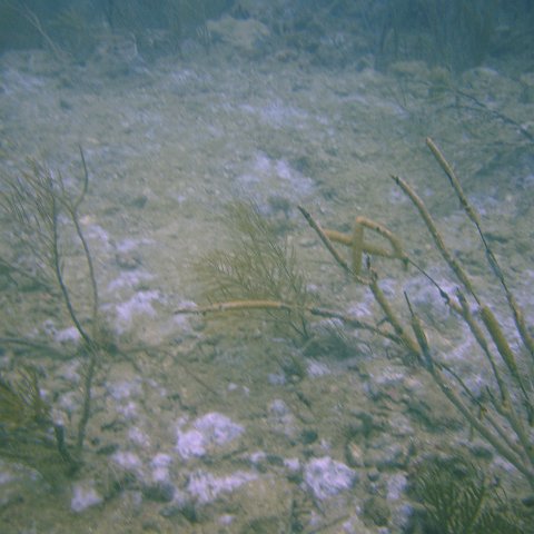 DSC05575 DSC05575