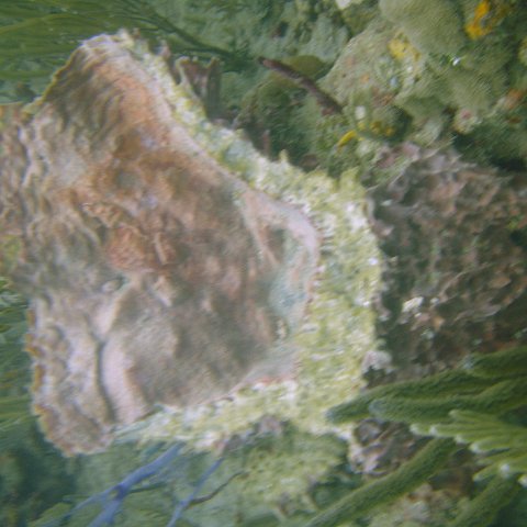 DSC05576 DSC05576