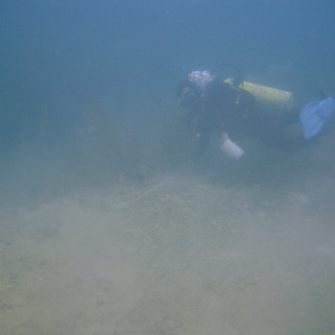 DSC05577 DSC05577