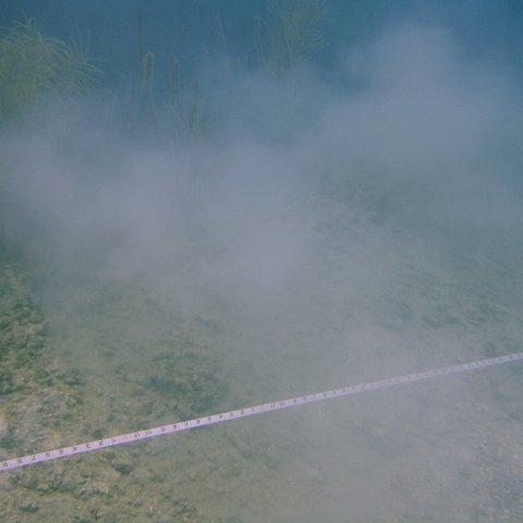 DSC05578 DSC05578